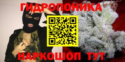 прущие крисы Дубна